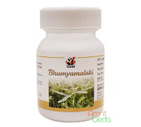 Бхумиамалаки (Bhumiamalaki), 40 капсул