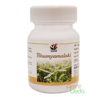 Бхуміамалакі (Bhumiamalaki), 40 капсул